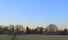 Field next to Downe House
