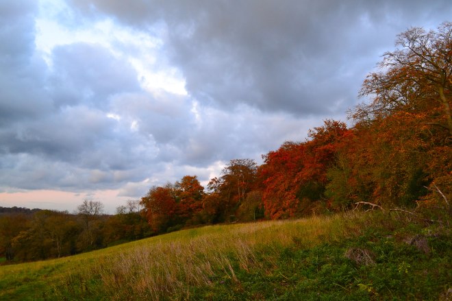 Autumn colours on the Downe walk