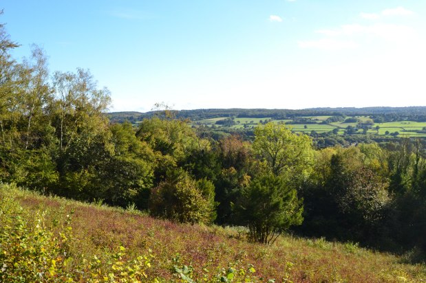 Steep Wood and New Pond Circular: 26 fotos - West Sussex
