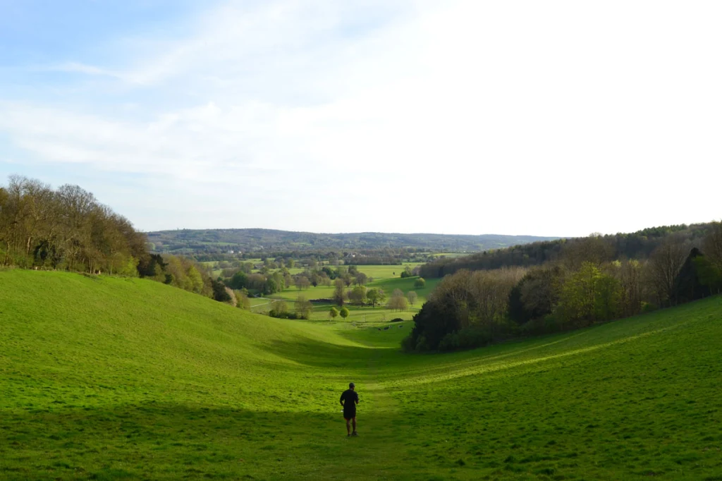 The cleft in the Downs